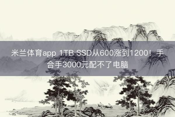 米兰体育app 1TB SSD从600涨到1200!手合手3000元配不了电脑