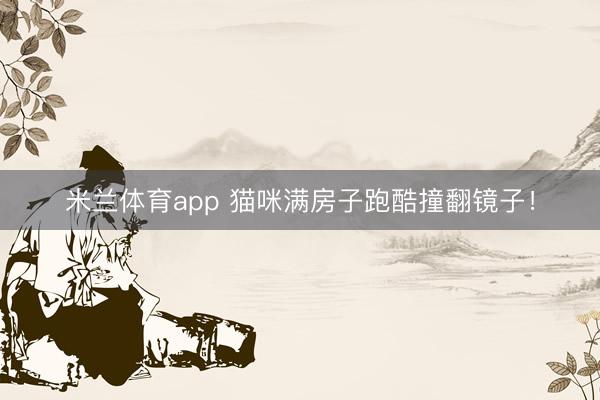 米兰体育app 猫咪满房子跑酷撞翻镜子！