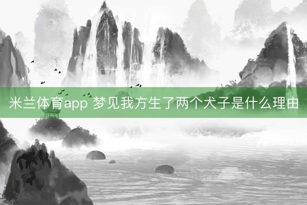 米兰体育app 梦见我方生了两个犬子是什么理由