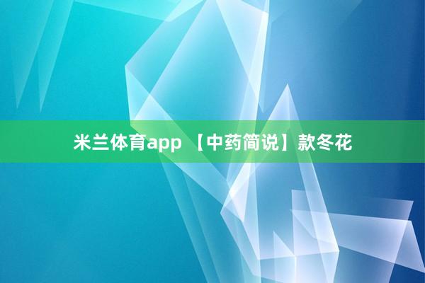 米兰体育app 【中药简说】款冬花