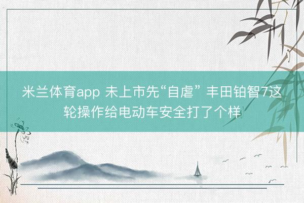 米兰体育app 未上市先“自虐” 丰田铂智7这轮操作给电动车安全打了个样