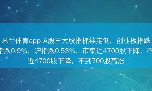 米兰体育app A股三大股指抓续走低，创业板指跌1%，深证成指跌0.9%，沪指跌0.53%，市集近4700股下降，不到700股高涨