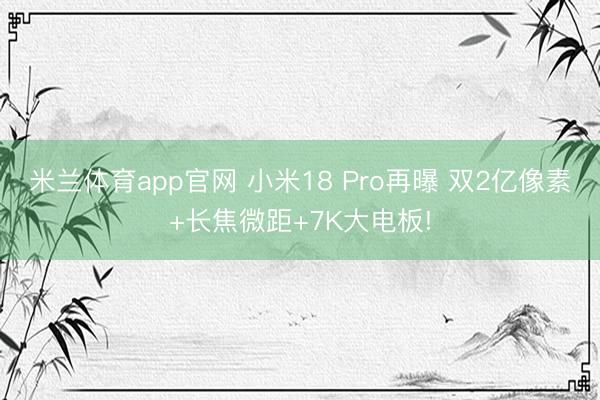 米兰体育app官网 小米18 Pro再曝 双2亿像素+长焦微距+7K大电板!
